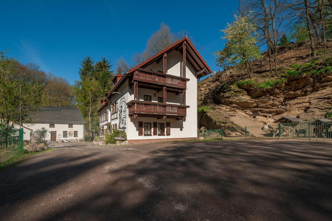 Zur Margarethenmuehle - Landgasthof Und Waldhotel Rosswein Екстериор снимка