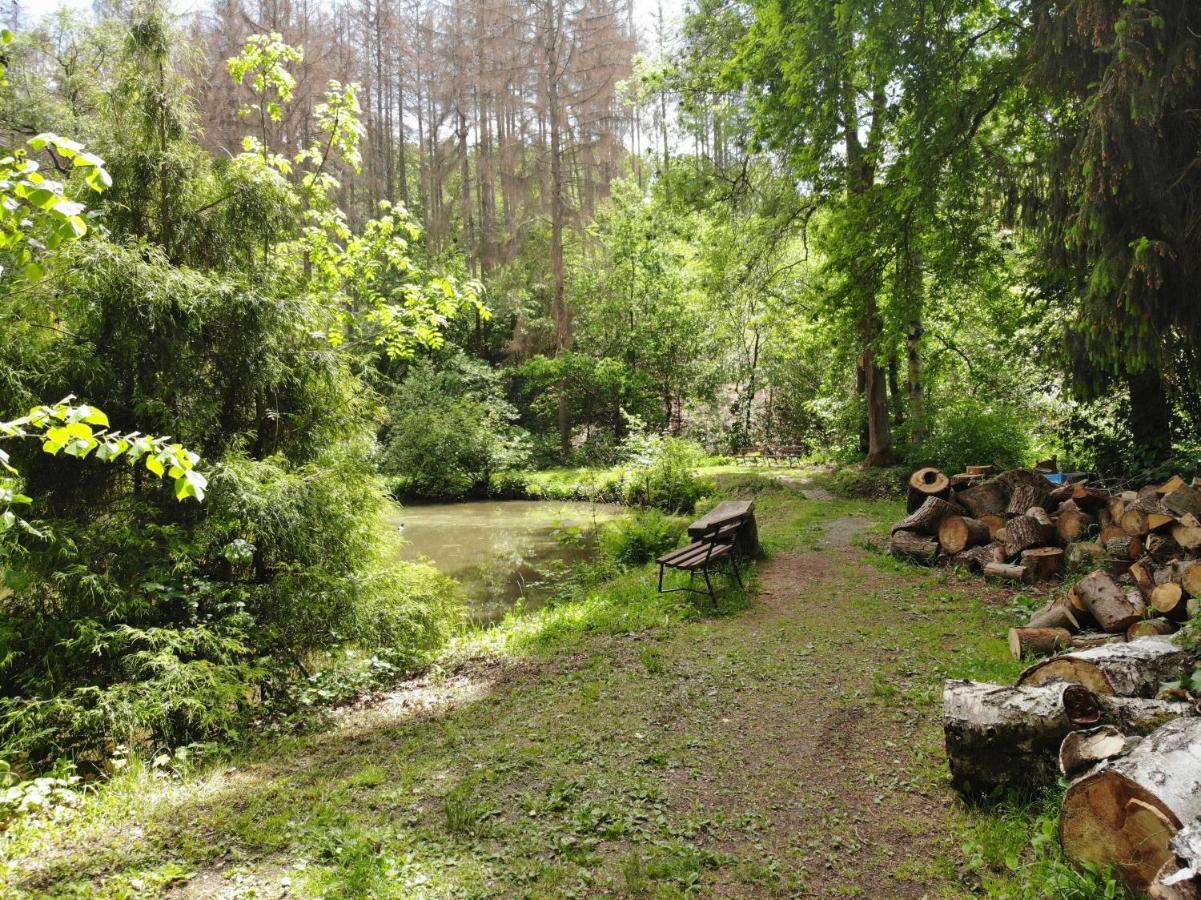 Zur Margarethenmuehle - Landgasthof Und Waldhotel Rosswein Екстериор снимка